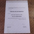 Acercar imagen: certificate 6