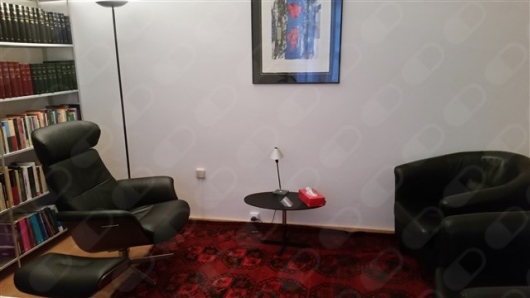 Carmen Ferres Jover-3