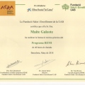 Acercar imagen: certificate 25