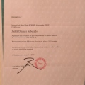 Acercar imagen: certificate 13