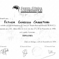 Acercar imagen: certificate 7