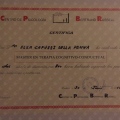Acercar imagen: certificate 10