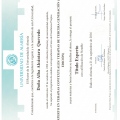 Acercar imagen: certificate 2