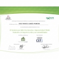 Acercar imagen: certificate 3