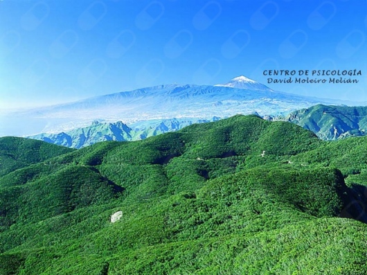 David Moleiro Melián-7