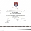 Acercar imagen: certificate 7
