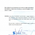 Acercar imagen: certificate 11