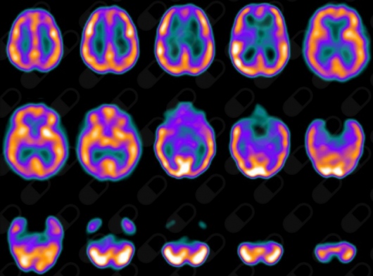 Alfredo Gil Rodrigo-6