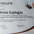 Acercar imagen: certificate 5