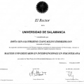 Acercar imagen: certificate 13