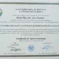 Acercar imagen: certificate 5