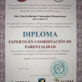 Acercar imagen: certificate 24