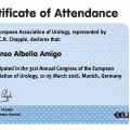 Acercar imagen: certificate 11
