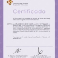 Acercar imagen: certificate 15