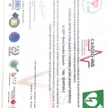 Acercar imagen: certificate 6
