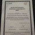 Acercar imagen: certificate 9