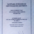 Acercar imagen: certificate 7