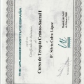 Acercar imagen: certificate 27