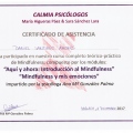 Acercar imagen: certificate 3