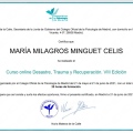Acercar imagen: certificate 6