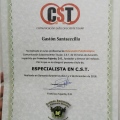 Acercar imagen: certificate 10