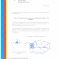 Acercar imagen: certificate 17