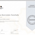 Acercar imagen: certificate 25