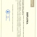 Acercar imagen: certificate 5