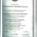 Acercar imagen: certificate 3