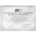 Acercar imagen: certificate 17