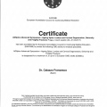 Acercar imagen: certificate 12
