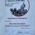 Acercar imagen: certificate 6