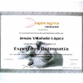 Acercar imagen: certificate 19