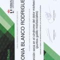 Acercar imagen: certificate 12