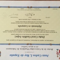 Acercar imagen: certificate 2