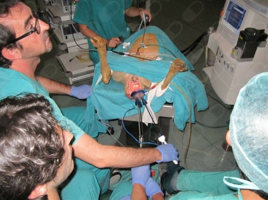 Francisco Alba Mesa-8