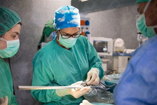 Melissa Cortegoso Gonzalez-6