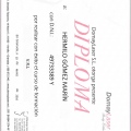 Acercar imagen: certificate 22