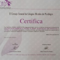 Acercar imagen: certificate 7