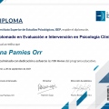 Acercar imagen: certificate 9