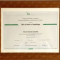 Acercar imagen: certificate 9