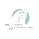 Juan José Domínguez Amador