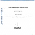 Acercar imagen: certificate 19