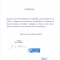 Acercar imagen: certificate 33
