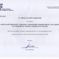 Acercar imagen: certificate 5
