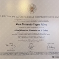 Acercar imagen: certificate 9