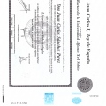 Acercar imagen: certificate 1