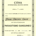 Acercar imagen: certificate 3