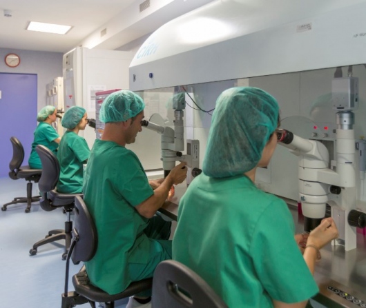 Rosa María Borràs-8