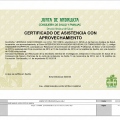 Acercar imagen: certificate 34